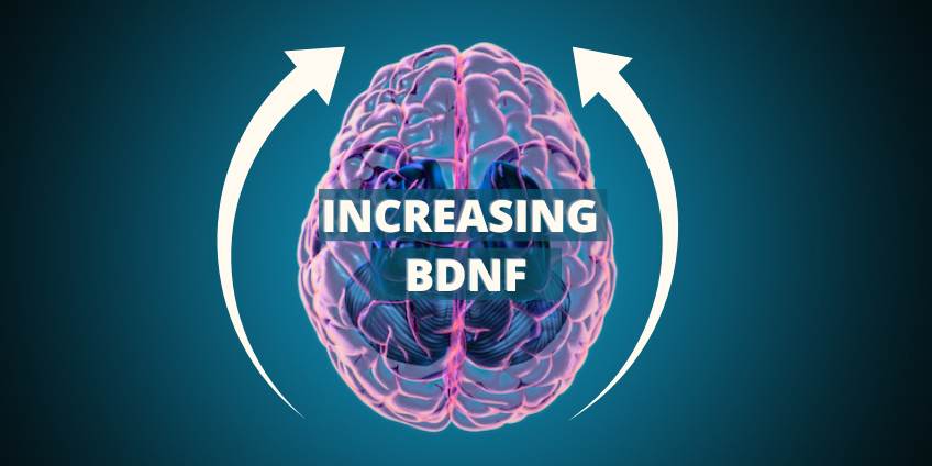 What is BDNF and How Can You Increase It?